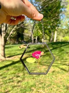 Modern Hexagon Brass Floating Photo <b>Frame</b> Glass Hanging Picture <b>Frame</b> for Pressed Flowers <b>Plant</b> Specimen Wall Decor Ornament - Product Image 2