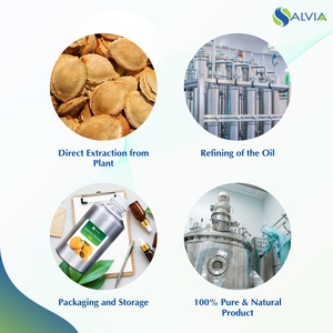 Huile de noyau d'abricot 100% pur et naturel en gros en vrac prix le plus bas emballage personnalisé - Product Image 4