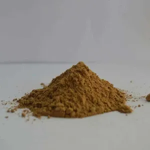 Poudre d'extrait de plantes Herbojit International Cyperus Rotundus (Nagarmotha) de qualité supérieure d'approvisionnement en vrac pour formulations à base de plantes - Product Image 4