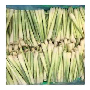 Vente en gros de citronnelle congelée racine de citronnelle entière et congelée pour la cuisson de la citronnelle congelée approvisionnement du Vietnam - Product Image 1