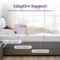 Surmatelas en mousse à mémoire de forme en gel |   Surmatelas rafraîchissant ventilé pour les maux de dos |   Housse amovible CertiPUR-US en gros