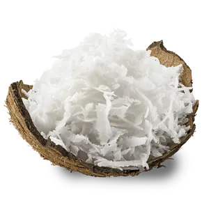 Supplier Desiccated Coconut From Viet Nam