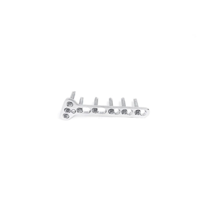 Verrouillage T-Plate 3.5mm Oblique Angled Set de 10pcs Instrument chirurgical vétérinaire en acier inoxydable - Product Image 4