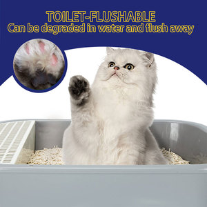 Litière <span class=keywords><strong>pour</strong></span> <span class=keywords><strong>chat</strong></span> manioc maïs agglomération rapide bon marché en gros - Product Image 5