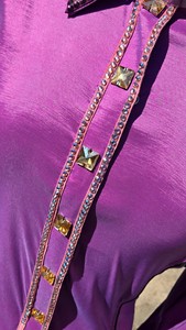 Custom Retro Western Pleasure Show Shirt Rodeo Queen Rail Shirt para la ropa de equitación de las mujeres - Product Image 5