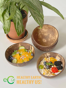 ¡Mejor vendido 2025! Tazones de cáscara de coco natural del fabricante para ensalada/tazón de coco Vietnam con logotipo y diseño personalizado a pedido - Product Image 4