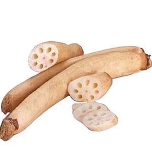 Meilleure racine de lotus cueillie naturelle de qualité supérieure Vente en gros Produit agricole 100% à bas prix - Product Image 2