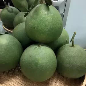 Venta caliente pomelo sin semillas majia fruta y pomelo cítricos pelados calidad premium para exportación Origen Vietnam - Product Image 2