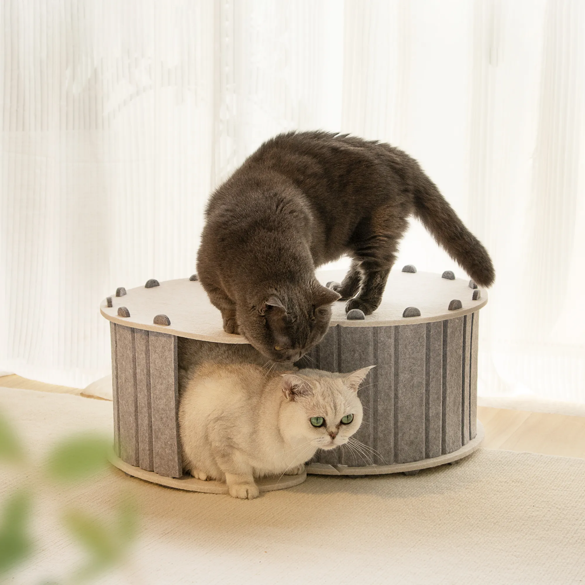 유행 펠트 애완 동물 침대 녹색 회색 귀여운 고양이 긁는 집 둥지 비축을위한