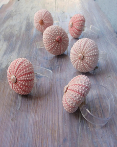 Servilletero de concha de comedor Resort, soporte de concha de mar hecho a mano para ajuste de mesa elegante, Exportación al por mayor a granel - Product Image 5