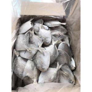 Pomfret argenté entier congelé de première qualité, fruits de mer congelés de la meilleure qualité en provenance de Thaïlande, pomfret argenté entier IQF - Product Image 2
