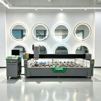 Machine de décapage de peinture au laser pour miroirs en verre grand format avec convoyeur