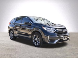 Honda CR-V EX-L d'occasion propre 2022 - Product Image 2