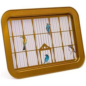 Cage à Oiseaux Vintage Illustration 310x430mm Plateau de Service Rectangulaire Elégant Rotin Cuivre Bois avec Oiseaux Colorés - Product Image 2