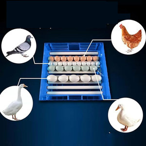 Gà Nở tự động trực tuyến Máy Ấp Trứng gia cầm trang trại Máy ấp trứng công nghiệp ấp trứng trực tuyến - Product Image 6