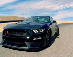 LISTO PARA ENVIAR: She1by GT350 para concesionarios que atienden a compradores de autos de alto rendimiento. Sin accidentes y listo para enviar. - Product Image 3