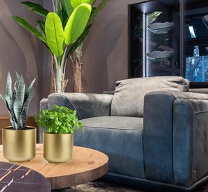 Grands pots de fleurs dorés Pots de fleurs décoratifs d'intérieur avec trous de drainage. - Product Image 5