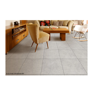 Baldosas de porcelana resistentes de estilo moderno rústico para exteriores de 600x900mm de espesor de 20 mm de la India - Product Image 2