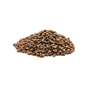 Semillas de espinacas naturales al por mayor - Product Image 6