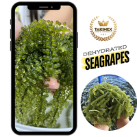 Raisins de mer frais/raisins de mer/raisins de mer déshydratés Caviar vert algues Vietnam produit du Vietnam