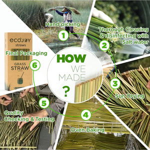 Pajitas de hierba seca, pajitas biodegradables de hierba, las mejores pajitas de hierba natural, proveedor de Vietnam - Product Image 4