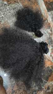 Kinky Curly Virgin Brazilian Wefted Extensiones de cabello humano 30 pulgadas Jerry Curl Wave Style 3 Bundles - Product Image 6