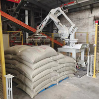 Personnalisé pour ABB EFORT KUKA Robot Palettiseur Machine à emballer automatique à vitesse rapide Palettiseur pour lignes de sacs de ciment