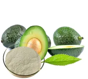 Vente en gros d'extrait d'avocat naturel Poudre de jus d'avocat lyophilisé - Product Image 4