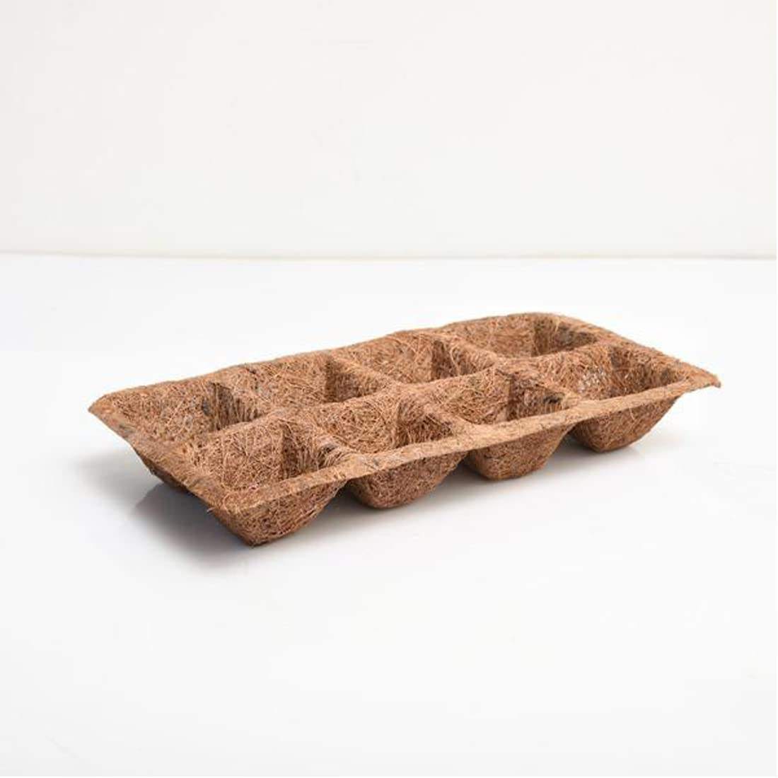 ธรรมชาติ