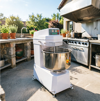 Machine à pétrir la pâte pour nouilles 25 kg, grande machine à pétrir la pâte pour l'industrie de la boulangerie