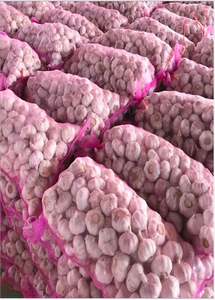 กระเทียมเวียดนามสด Ajo Fresco Ail Frais กระเทียมขาวพรีเมียมแบบหัวเต็ม สำหรับผู้ซื้อระดับโลก - Product Image 4