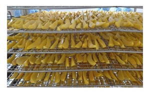 ผู้จัดจําหน่ายมะม่วงอบแห้งธรรมชาติ 100% ด้วยราคาที่ดีที่สุด / ส่งออกมะม่วงอบแห้งคุณภาพสูงจากเวียดนาม - Product Image 2