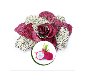 Meilleure vente de fruit du dragon en tranches séchées saveur sucrée pour collation de haute qualité pour l'exportation en vrac - Product Image 1