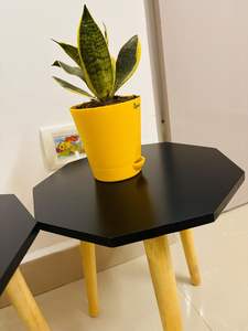 Taburete de Madera Plegable y Ajustable Hecho a Mano para Macetas y Soporte de Plantas, Decoración Moderna para el Hogar, Muebles para Taller, Dormitorio, Apartamento - Product Image 4