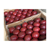 Concurrerende Prijs Passievrucht Nieuwe Seizoen Crop Verse Aangepaste Grootte Oranje Geel Groen Top Kwaliteit Bestseller Groothandel Del