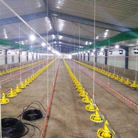 Poulailler en structure acier de haute qualité, longue durée de vie, pour ferme avicole