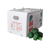 Boîte en plastique polypropylène Coroplast Emballage agricole pour collards Coriandre Brocoli Maïs