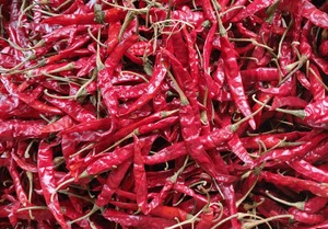 Chile Rojo Aromático Seco de Alta Calidad, Grado Alimenticio, 25 KG, Hecho en India para Exportación, para Marinadas y Sazonadores - Product Image 2