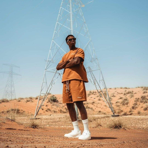 Ensemble T-shirt et short décontracté vintage marron pour homme, léger, respirant, streetwear d'été, confortable, tenue deux pièces de haute qualité - Product Image 3