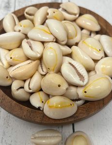 Giá tốt nhất trên đánh bóng Việt Vàng cowrie <span class=keywords><strong>Shell</strong></span> hàng thủ công tự nhiên sản phẩm cowrie seashells vỏ sò biển - Product Image 6