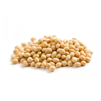 Vente en gros de soja biologique non-OGM, soja jaune, graines de soja