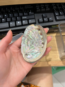 NATURAL POLISHED ABALONE SHELL CONCH SHELL <b>RAINBOW</b> <b>LIGHT</b> SAGE SMUDGING REPTILE FOOD BOWL DECORATION GIFTS AMELIA +84855014447 - Product Image 5