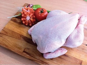 Pollo Congelado Fresco de Primera Calidad al por Mayor, Pollo Entero Halal, Carne de Aves Baja en Grasa en Bolsa - Product Image 2