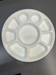 Assiette jetable en bagasse à 9 compartiments GNE-9CP, biodégradable, design à 9 compartiments - Product Image 3