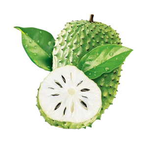 Thé en sachet de feuilles de graviola séchées combiné à de la poudre de feuilles de corossol, emballage en vrac avec avantage de prix de gros - Product Image 1