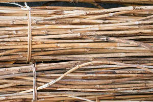 Bastón de mimbre recto de bambú, caña de mimbre para hacer artesanías pulidas y crudas - Product Image 2