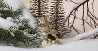 Statue de lion Art déco de qualité supérieure faite à la main en laiton Lucky Guardian Lion Figurine pour bureau à domicile motif animal décor de bureau