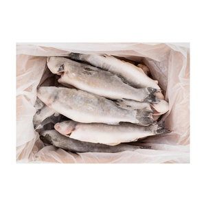 ชุดปลาแมคเคอเรลแช่แข็งแบบกลมสุญญากาศเกรดดีที่สุดสำหรับผู้ผลิตอาหารและพ่อครัว - Product Image 5