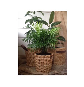 Macetas decorativas hechas a mano de hierro tejido de ratán, diseño personalizado, macetas para interiores y exteriores, macetas hechas a mano - Product Image 1