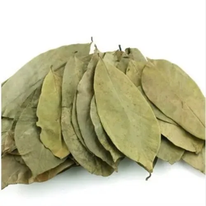 Hojas de Guanábana más secas-Natural-100% Puro Orgánico-Libre de pesticidas - Product Image 6